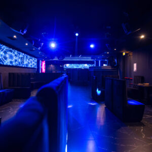 life club milano eventi aziendali , festa 18 anni , festa di alurea (8)